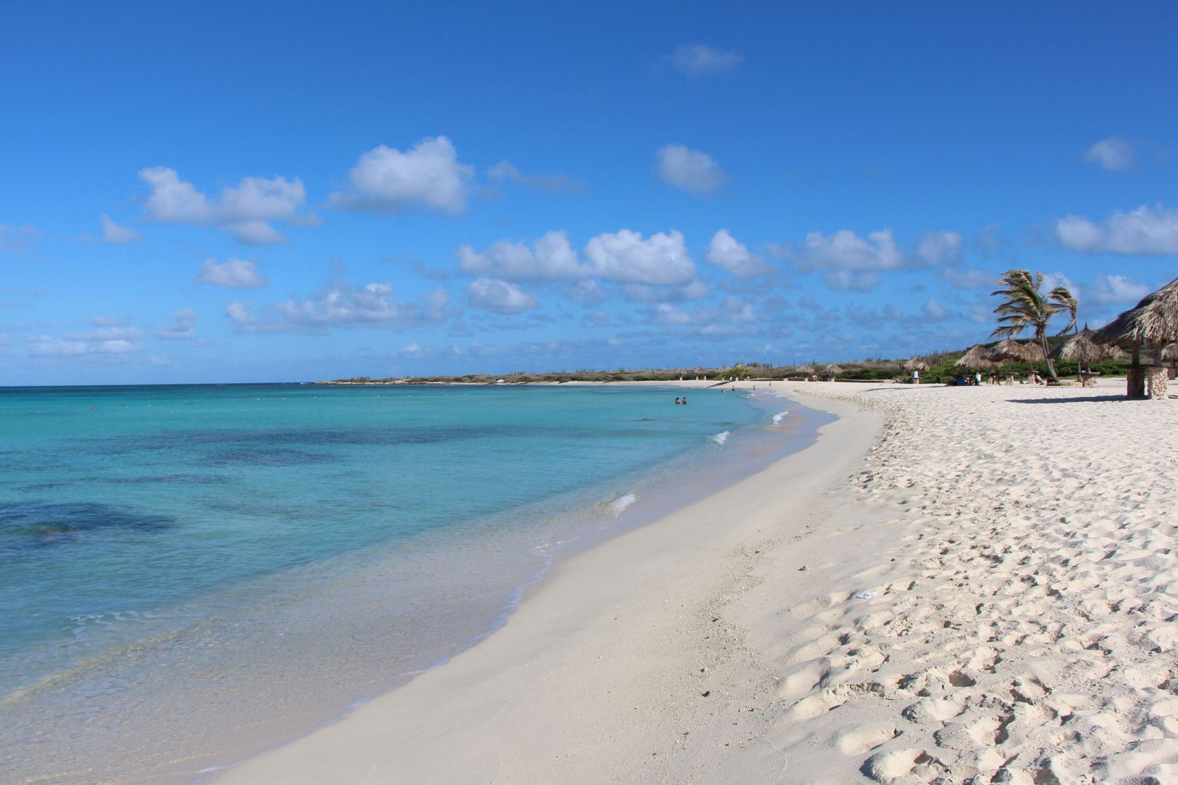 Aruba Caribbean Food Aruba Beaches White sand Arashi Eagle Beach Palm 