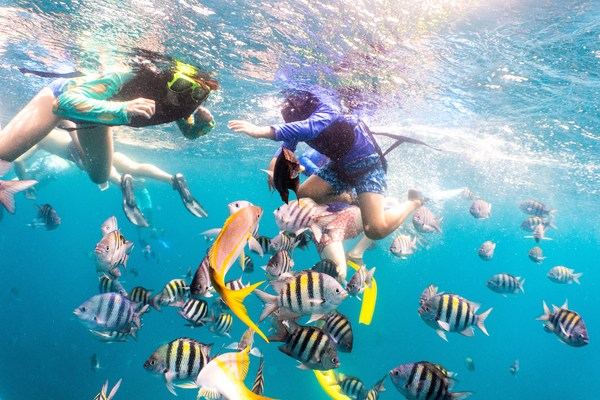 Luncheon Snorkel Sail - Red Sail Aruba -VisitAruba.com