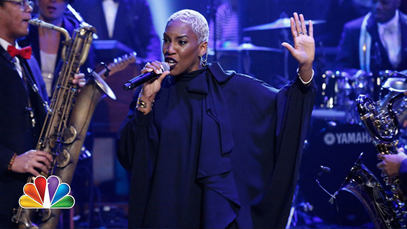 Back-up band of Prince, Liv Warfield and the New Power Generation, will headline the Caribbean Sea Jazz 2014