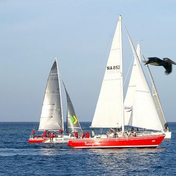 Tranquilo is ready to race again at the Sail Aruba 2015