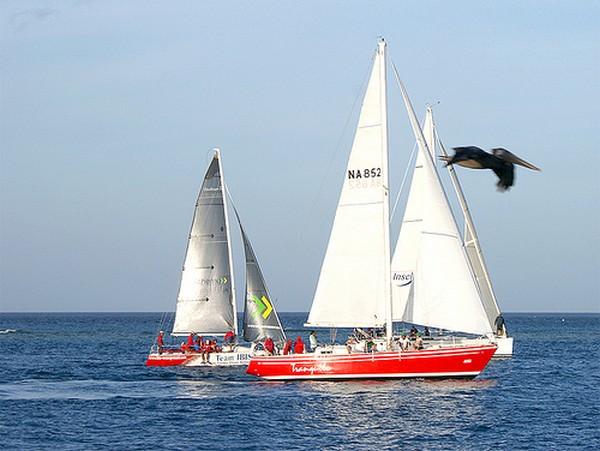 tranquilo is ready to race again at the sail aruba 2015