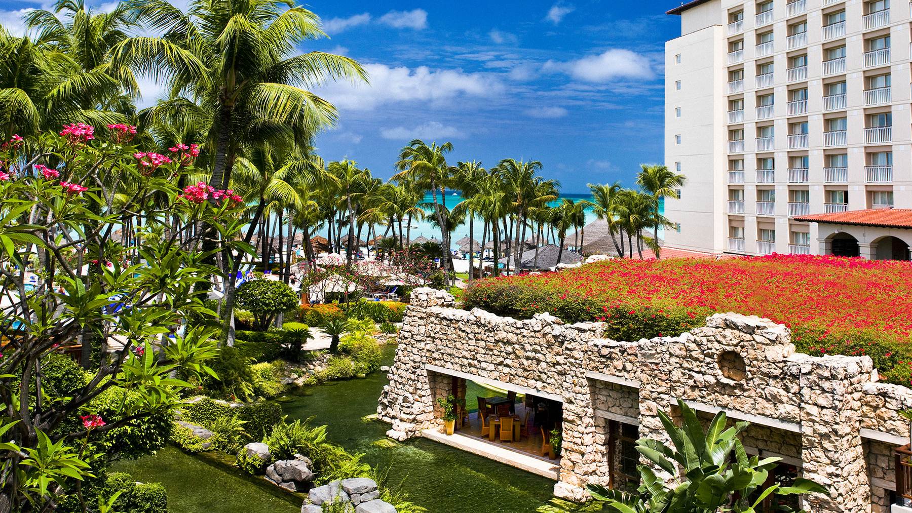 Hyatt Regency Aruba Resort, Spa and Casino Wants to Enhance Your Stay