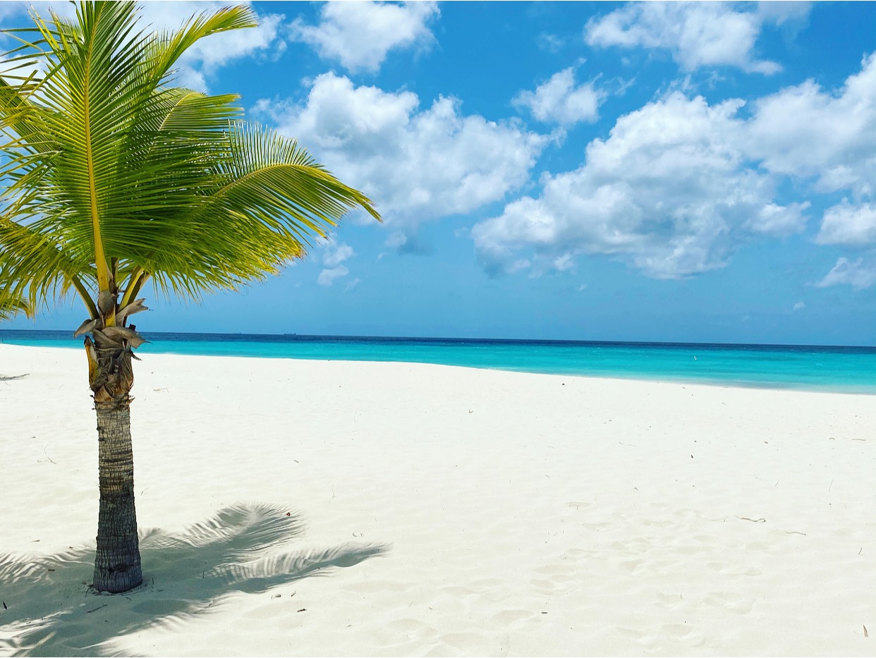 Aruba S Eagle Beach Makes Tripadvisor S World S Best Beaches For 2021