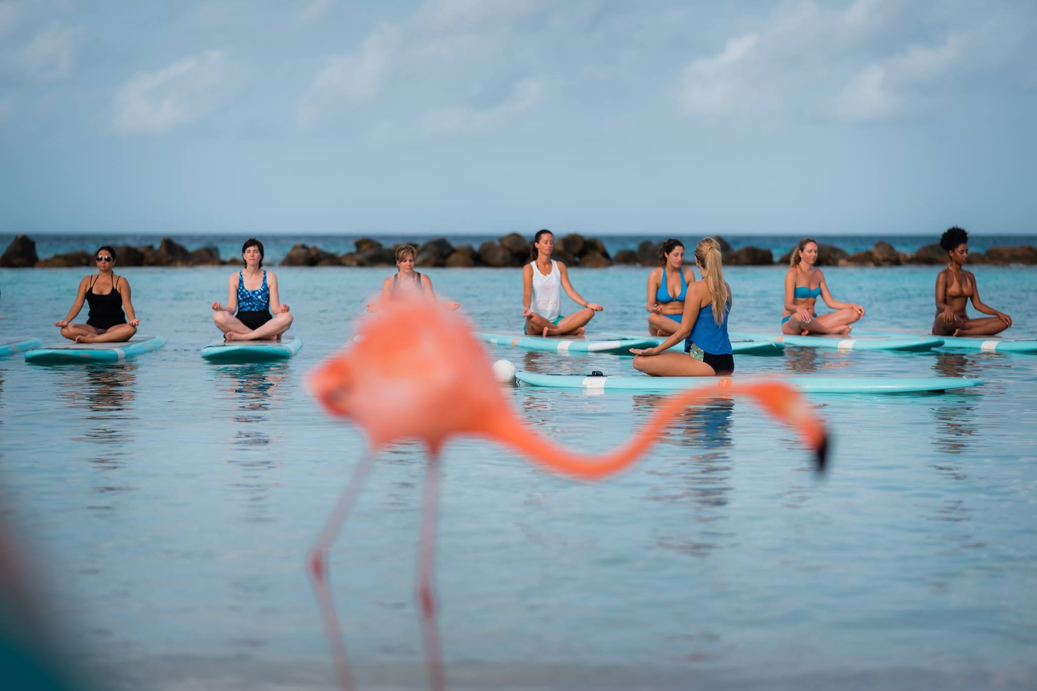 Visitarubacom Flamingo Sup Yoga With Island Yoga